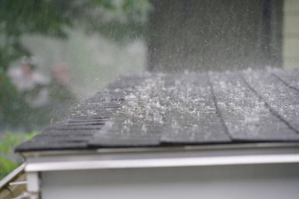 Best Skylight Installation and Repair  in Applewood, CO