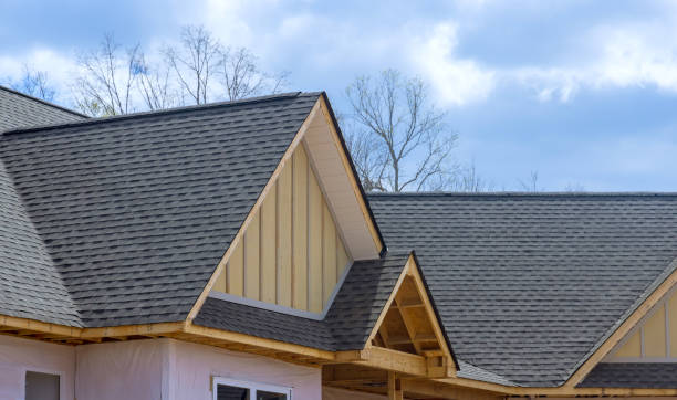 Best Asphalt Shingles Roofing  in Applewood, CO