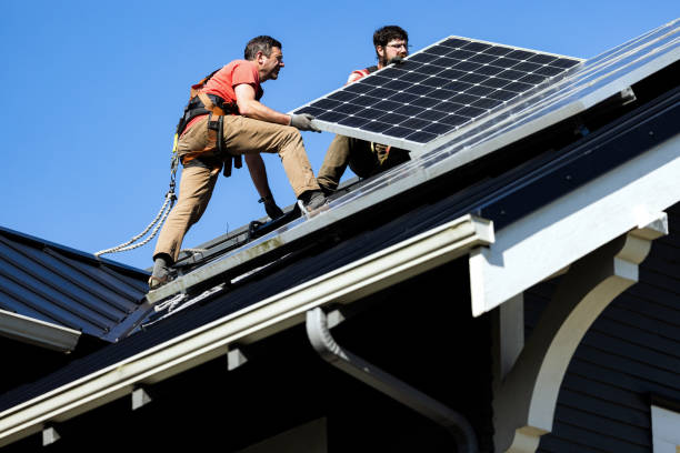 Best Roof Maintenance and Cleaning  in Applewood, CO