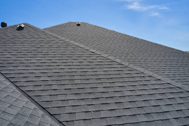 Best Skylight Installation and Repair  in Applewood, CO